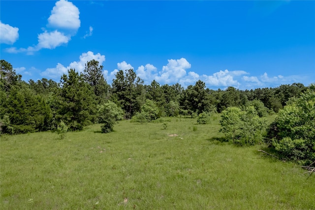386 Holly Creek Ln, Apple Springs, TX 75926 - photo 31