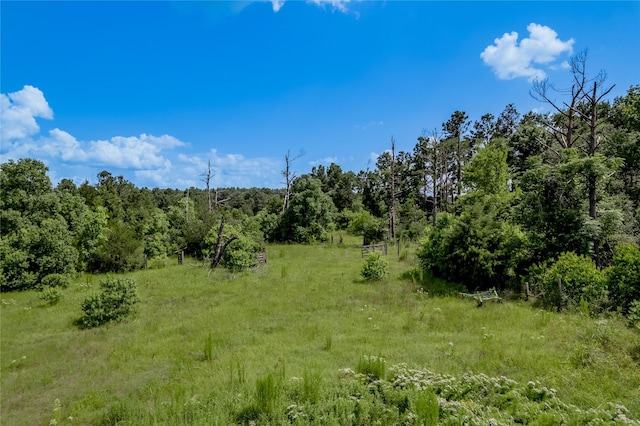 386 Holly Creek Ln, Apple Springs, TX 75926 - photo 32