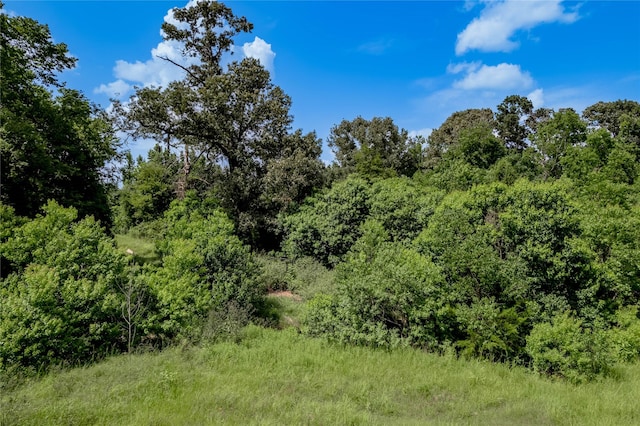 386 Holly Creek Ln, Apple Springs, TX 75926 - photo 33