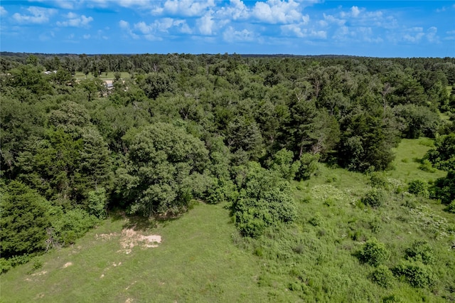 386 Holly Creek Ln, Apple Springs, TX 75926 - photo 34