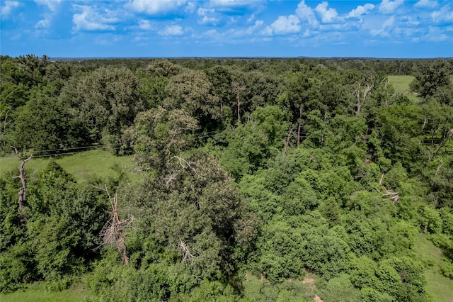 386 Holly Creek Ln, Apple Springs, TX 75926 - photo 35