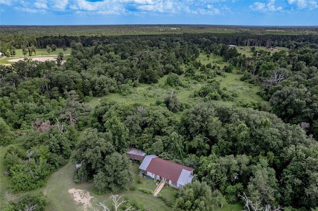 386 Holly Creek Ln, Apple Springs, TX 75926 - photo 38
