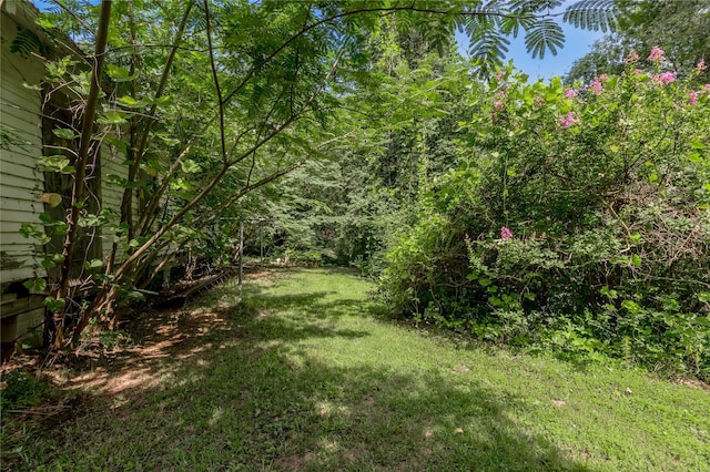 386 Holly Creek Ln, Apple Springs, TX 75926 - photo 45