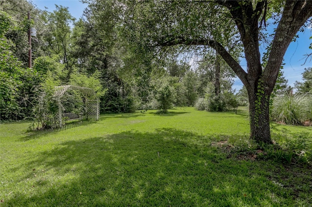 386 Holly Creek Ln, Apple Springs, TX 75926 - photo 46