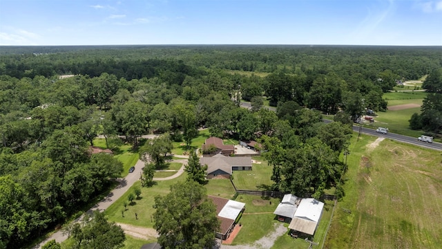 15151 Robin Trl, Conroe, TX 77302 - photo 49