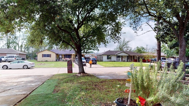1309 Bayswater Dr, Houston, TX 77047 - view of grassy yard with concrete driveway and a residential view