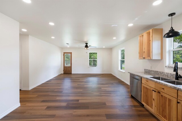228 Cherry, Lexington, TX 78947 - kitchen featuring stainless steel dishwasher, dark wood finished floors, ceiling fan, recessed lighting, and light stone counters