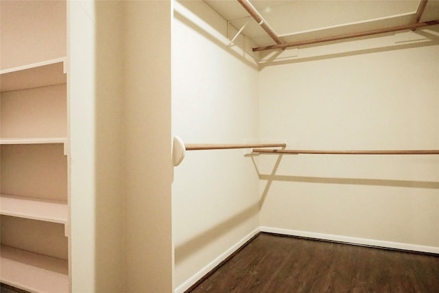 5 Tiffany Sq, Sugar Land, TX 77478 - spacious closet with wood finished floors