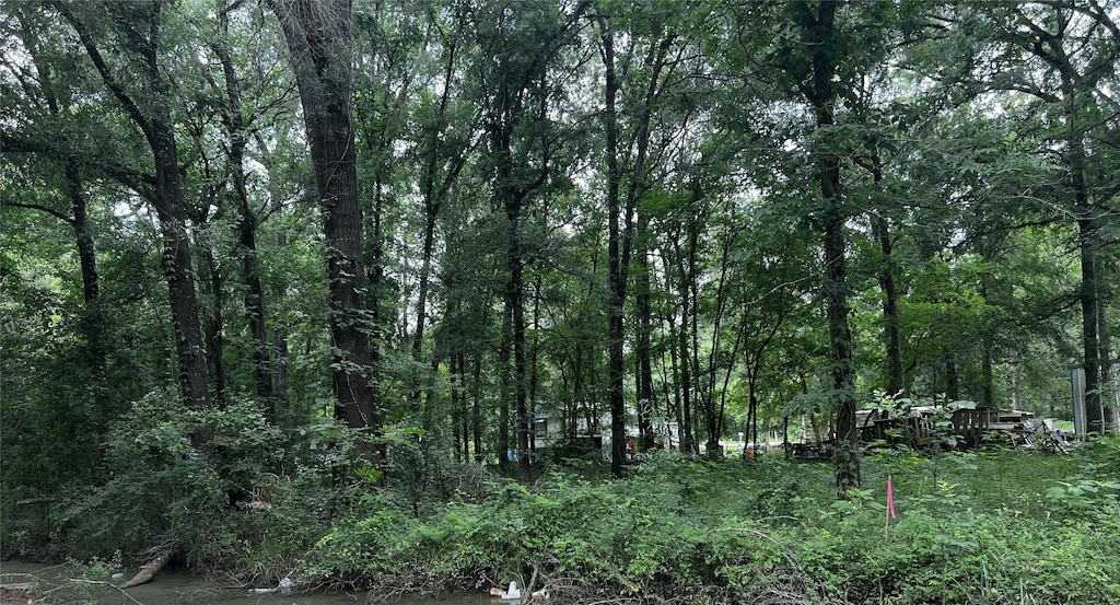 TBD Mudd St, Coldspring, TX 77331 - photo 2