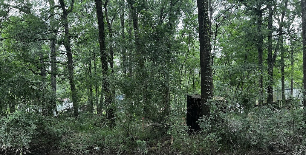 TBD Mudd St, Coldspring, TX 77331 - photo 1