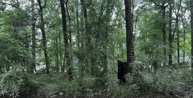 TBD Mudd St, Coldspring, TX 77331 - photo 1