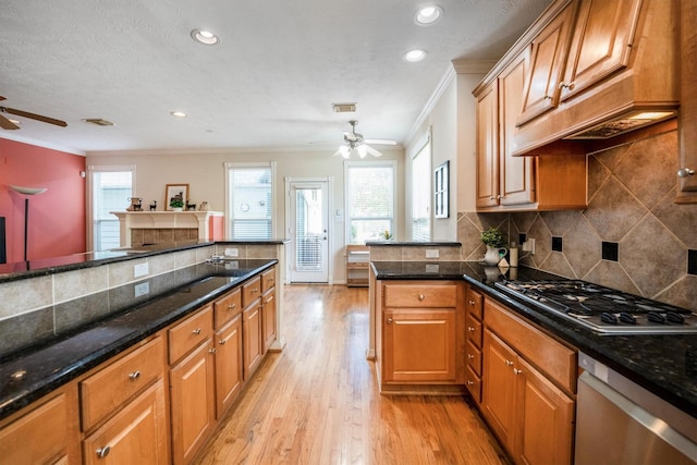 802 Lamonte, Houston, TX 77018 - kitchen with ceiling fan, stainless steel appliances, crown molding, light wood-style flooring, and recessed lighting