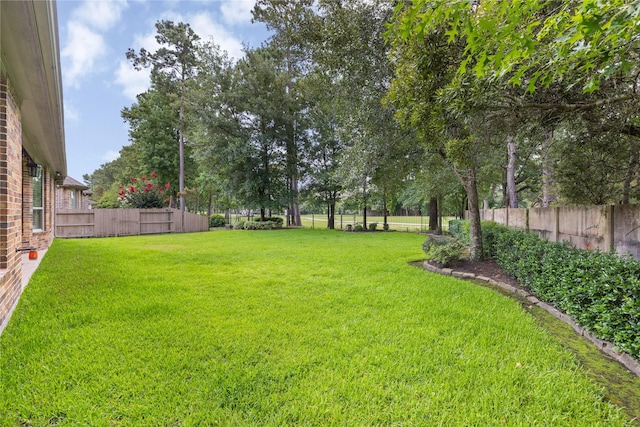 20660 Lavone Dr, Porter, TX 77365 - photo 41