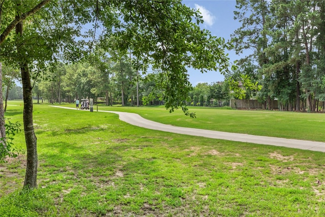 20660 Lavone Dr, Porter, TX 77365 - photo 4
