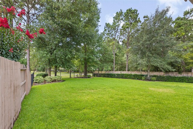 20660 Lavone Dr, Porter, TX 77365 - photo 42