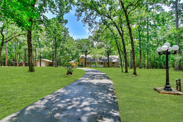 18639 Mink Lake Dr, Magnolia, TX 77355 - photo 47