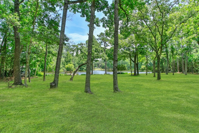 18639 Mink Lake Dr, Magnolia, TX 77355 - photo 33