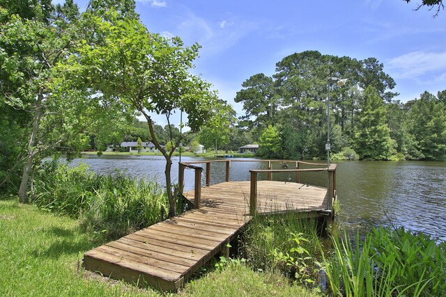 18639 Mink Lake Dr, Magnolia, TX 77355 - photo 34