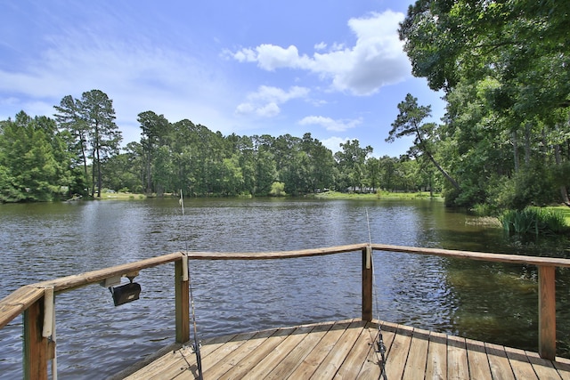 18639 Mink Lake Dr, Magnolia, TX 77355 - photo 35