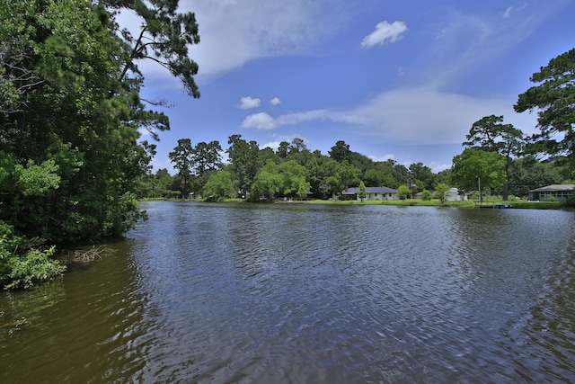 18639 Mink Lake Dr, Magnolia, TX 77355 - photo 36