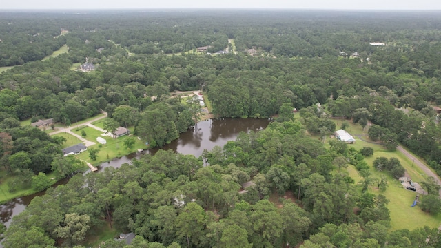 18639 Mink Lake Dr, Magnolia, TX 77355 - photo 44