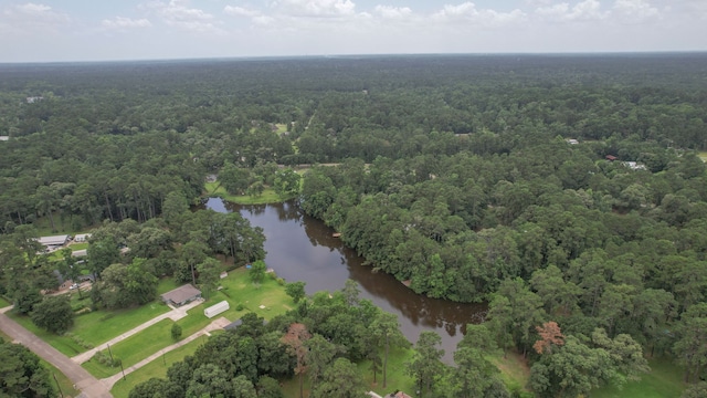 18639 Mink Lake Dr, Magnolia, TX 77355 - photo 46