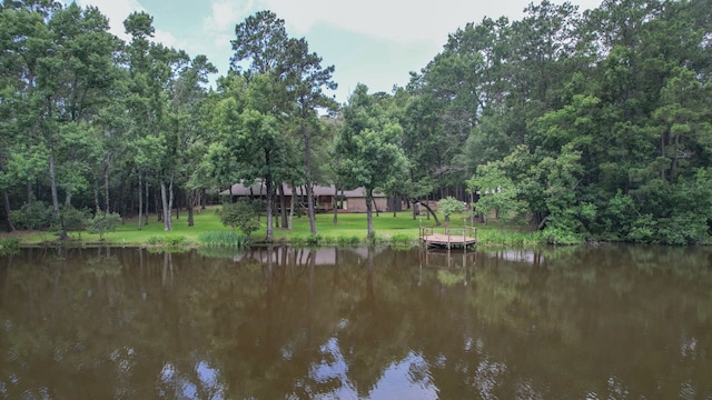18639 Mink Lake Dr, Magnolia, TX 77355 - photo 39