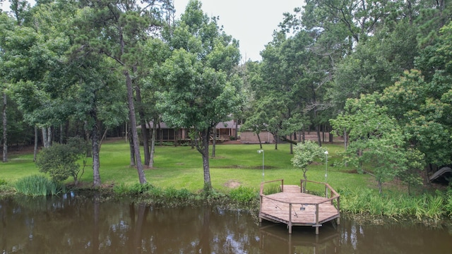 18639 Mink Lake Dr, Magnolia, TX 77355 - photo 40