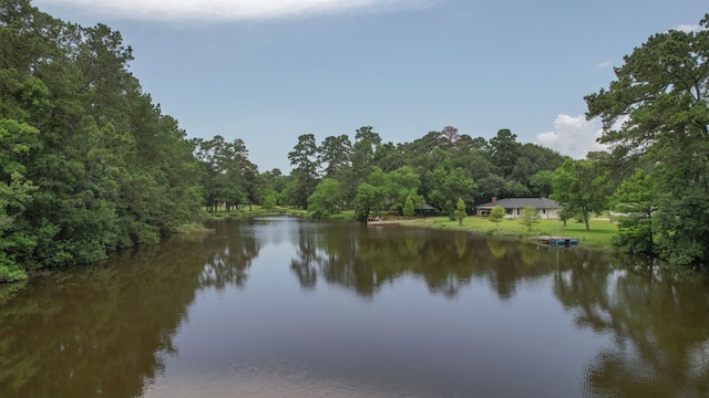 18639 Mink Lake Dr, Magnolia, TX 77355 - photo 42