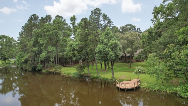 18639 Mink Lake Dr, Magnolia, TX 77355 - photo 43