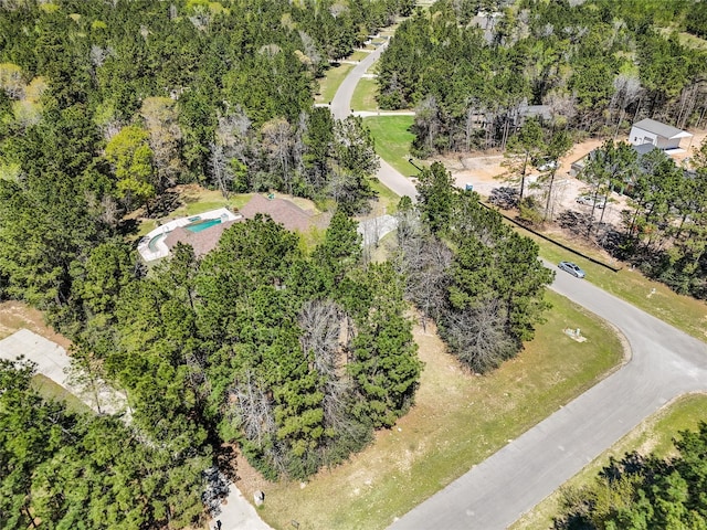 11556 Kirstens Ct, Montgomery, TX 77316 - photo 43