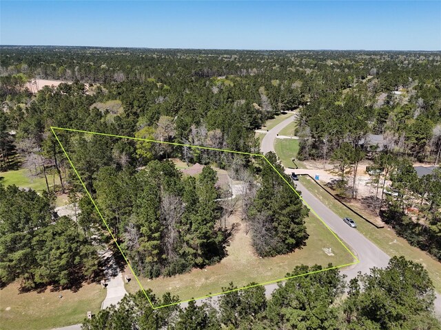 11556 Kirstens Ct, Montgomery, TX 77316 - photo 45