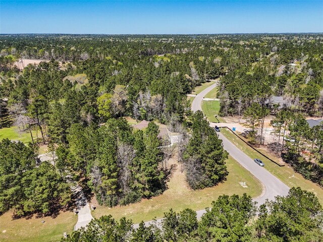 11556 Kirstens Ct, Montgomery, TX 77316 - photo 46