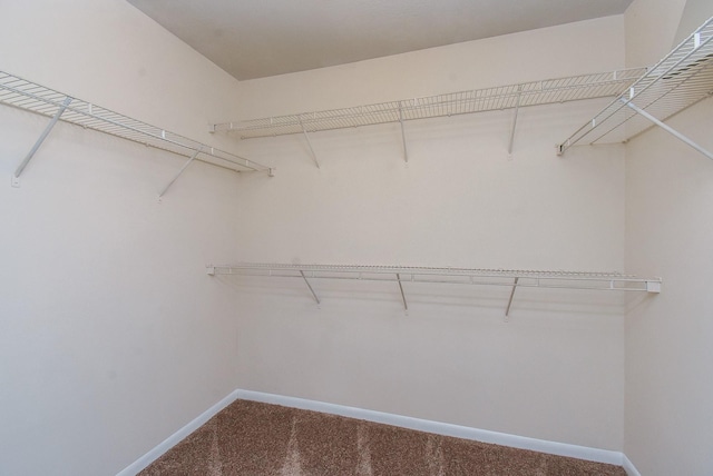 19727 Hon Ct, Katy, TX 77449 - spacious closet with carpet flooring