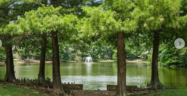 291 E Rainbow Ridge Cir, The Woodlands, TX 77381 - water view