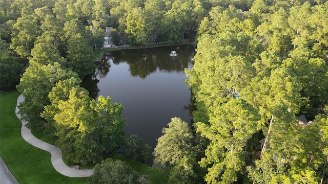 291 E Rainbow Ridge Cir, The Woodlands, TX 77381 - photo 41
