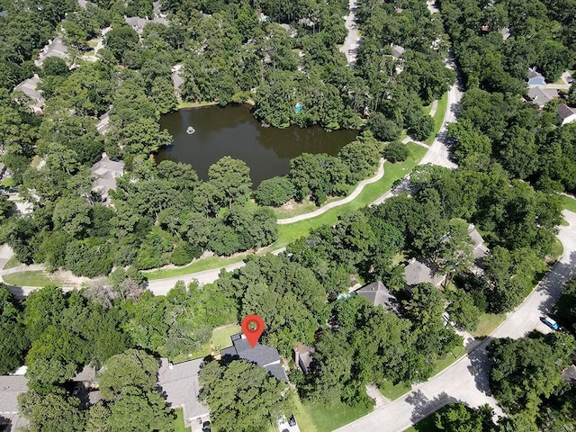 291 E Rainbow Ridge Cir, The Woodlands, TX 77381 - photo 40