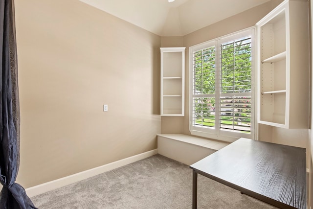 3602 Vashon Ln, Spring, TX 77388 - unfurnished office with healthy amount of natural light and carpet flooring