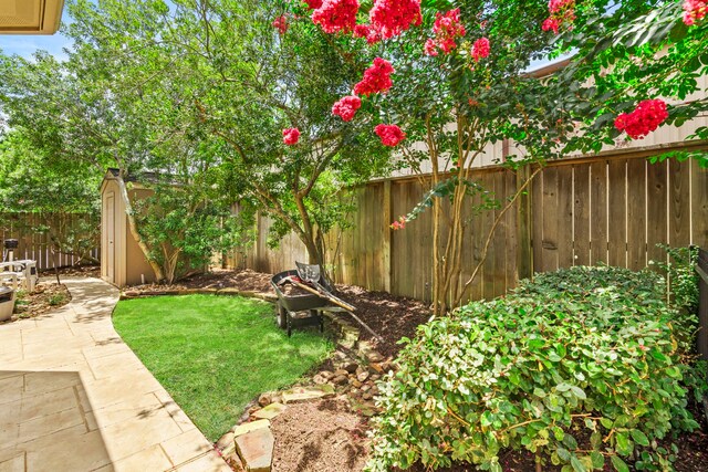 3602 Vashon Ln, Spring, TX 77388 - fenced backyard featuring a patio and a storage unit