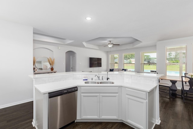 2018 Rd 660, Dayton, TX 77535 - kitchen with stainless steel dishwasher, a tray ceiling, open floor plan, a ceiling fan, and recessed lighting