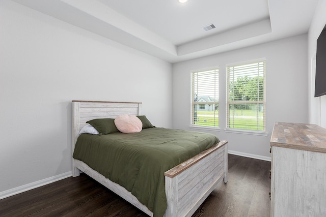 2018 Rd 660, Dayton, TX 77535 - bedroom featuring dark wood finished floors and a tray ceiling
