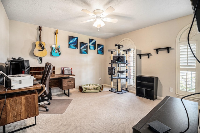 400 Scarlet Sage Dr, League City, TX 77573 - photo 13