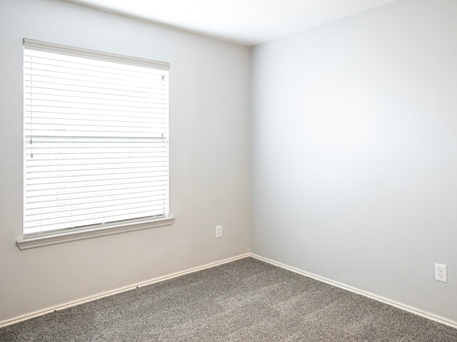 2414 Alcove Foster Ct, Fresno, TX 77545 - photo 22