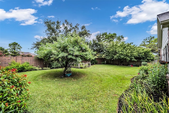 5531 Cherish Trl, Katy, TX 77494 - view of fenced backyard
