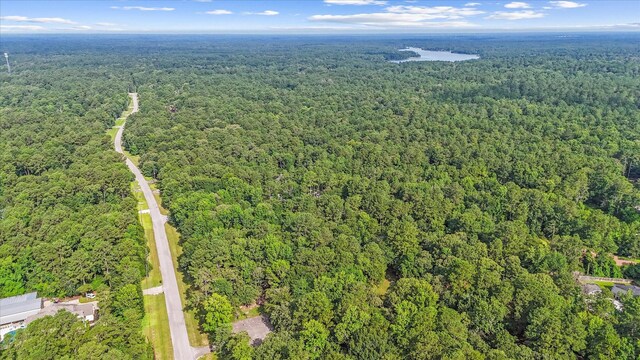 27210 Hitching Post Ct, Magnolia, TX 77355 - aerial view of property's location featuring a heavily wooded area