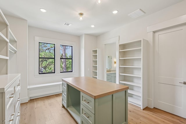 1023 Grovewood Ln, Houston, TX 77008 - walk in closet featuring light wood-style floors and a sink