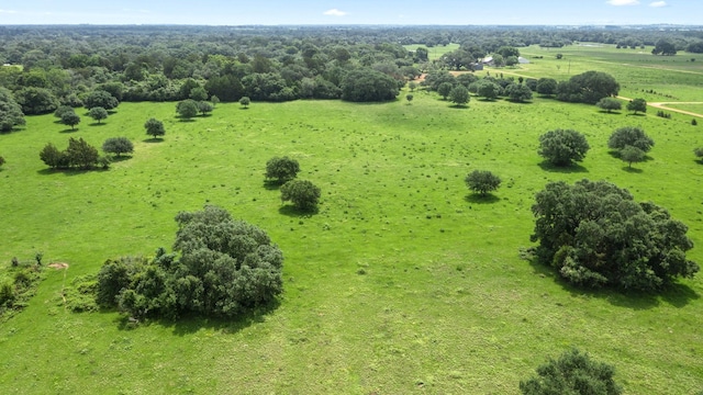 1017 New Ulm Rd, Cat Spring, TX 78933