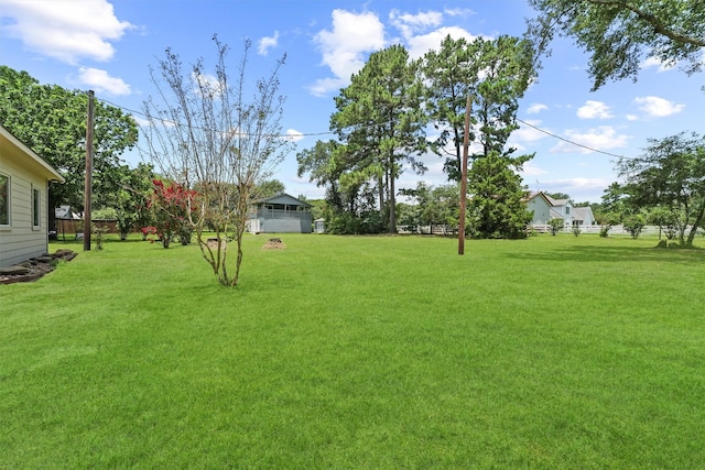 17010 Cypress Knee Dr, Cypress, TX 77429 - view of yard