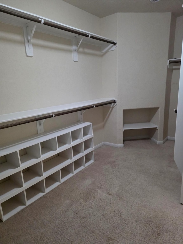15319 Roaming River Trl, Houston, TX 77044 - spacious closet with carpet floors