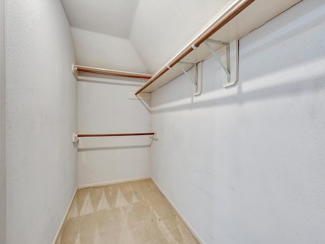 1227 Redwood Bough Ln, Houston, TX 77062 - walk in closet with carpet